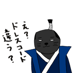 True feelings answer of cat