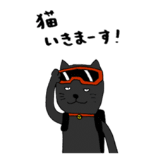 True feelings answer of cat sticker #3552474