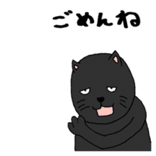 True feelings answer of cat sticker #3552475