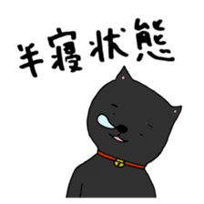 True feelings answer of cat sticker #3552480