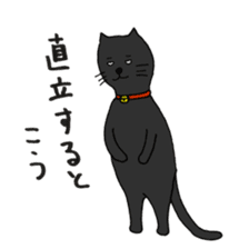 True feelings answer of cat sticker #3552481