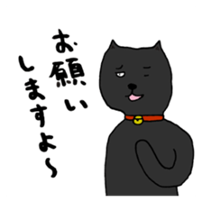 True feelings answer of cat sticker #3552483