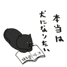 True feelings answer of cat sticker #3552487