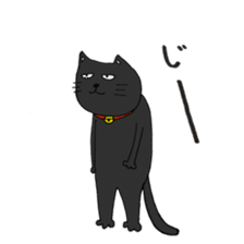 True feelings answer of cat sticker #3552492