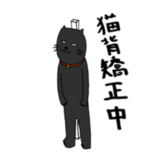 True feelings answer of cat sticker #3552493