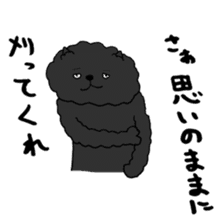 True feelings answer of cat sticker #3552499