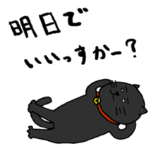 True feelings answer of cat sticker #3552500