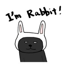 True feelings answer of cat sticker #3552503