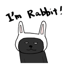 True feelings answer of cat sticker #3552503