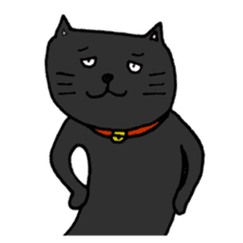 True feelings answer of cat sticker #3552509