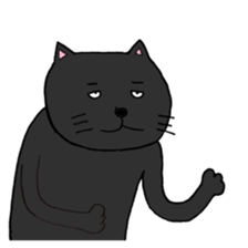 True feelings answer of cat sticker #3552511