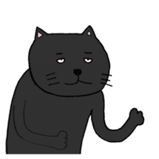 True feelings answer of cat sticker #3552511