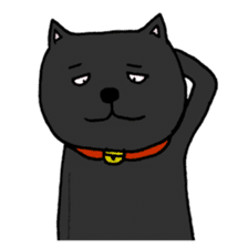 True feelings answer of cat sticker #3552513