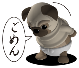 Innocent pug sticker #3554731