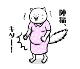 Midwife Cat Sticker sticker #3554822