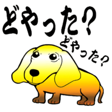 Gold dogs sticker #3559356