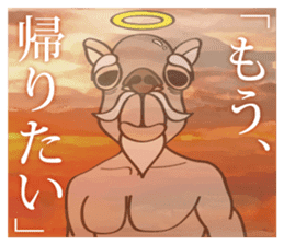 God of camel sticker #3559752