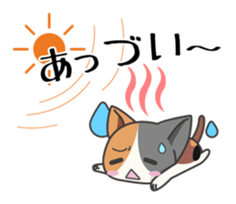 Sticker of Cute Cats 2 -dialect of Aizu- sticker #3562546