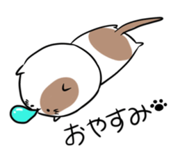 CATSTICKER... sticker #3562961