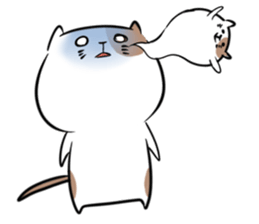 CATSTICKER... sticker #3562971