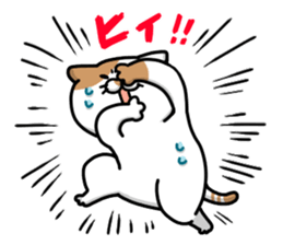 Funny cats of nojako2 sticker #3563022