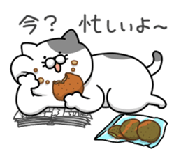 Funny cats of nojako2 sticker #3563041