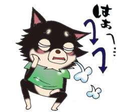 kyururun chihuahua & poison chihuahua 1 sticker #3565697