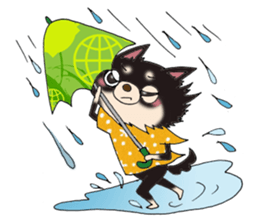 kyururun chihuahua & poison chihuahua 1 sticker #3565720