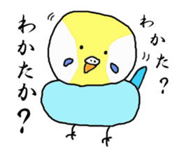 I'm a Budgie My name is KEN! sticker #3566492