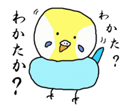 I'm a Budgie My name is KEN! sticker #3566492