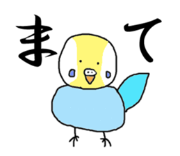 I'm a Budgie My name is KEN! sticker #3566501