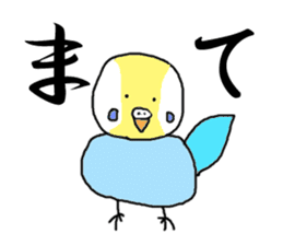 I'm a Budgie My name is KEN! sticker #3566501