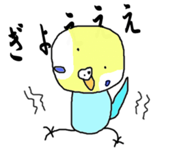 I'm a Budgie My name is KEN! sticker #3566504