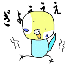 I'm a Budgie My name is KEN! sticker #3566504