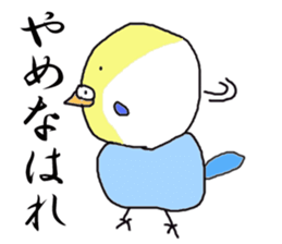 I'm a Budgie My name is KEN! sticker #3566513