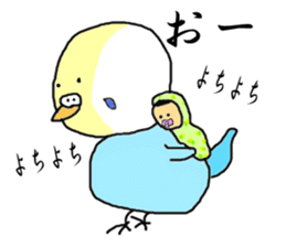 I'm a Budgie My name is KEN! sticker #3566525