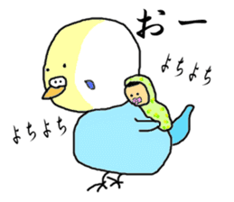 I'm a Budgie My name is KEN! sticker #3566525