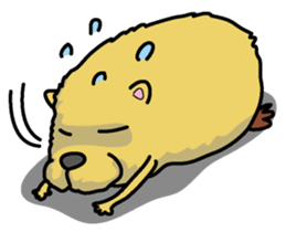 Capybara Sticker sticker #3566544