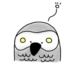Mel African Grey Parrot sticker #3567345
