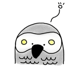 Mel African Grey Parrot sticker #3567345