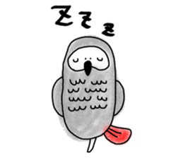 Mel African Grey Parrot sticker #3567349