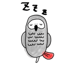 Mel African Grey Parrot sticker #3567349