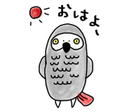 Mel African Grey Parrot sticker #3567350