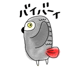 Mel African Grey Parrot sticker #3567353