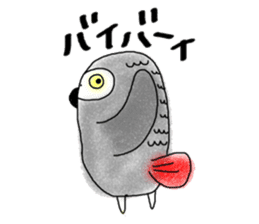 Mel African Grey Parrot sticker #3567353