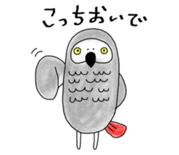 Mel African Grey Parrot sticker #3567359