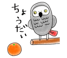 Mel African Grey Parrot sticker #3567361