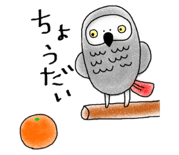 Mel African Grey Parrot sticker #3567361