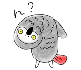 Mel African Grey Parrot sticker #3567364