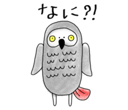 Mel African Grey Parrot sticker #3567366